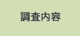 調査内容