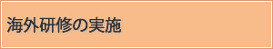 海外研修の実施
